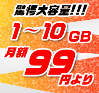 レンタルサーバーとは