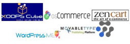 XOOPS、Wordpress、osCommerce、zencart等のCMSが 1アカウントで複数使える大容量サーバーは99円レンタルサーバーしかありません!